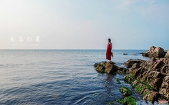 中国字字幕在线播放2019